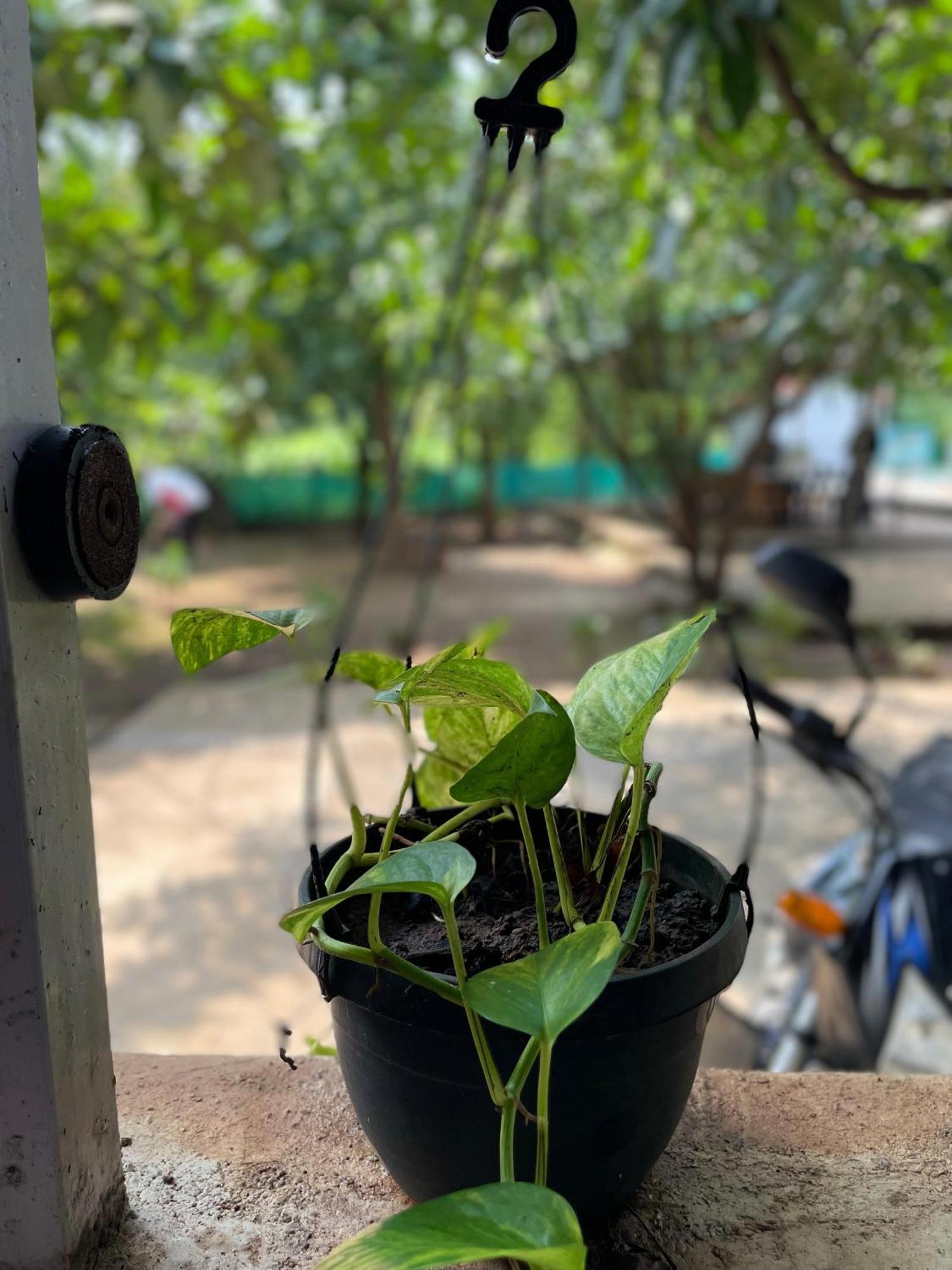 Riverland Farm And Resort Karjat Esterno foto